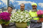 نخستین جشنواره‌ی تقدیر از کارگران افغانستانی تهران