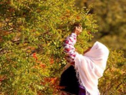ثبت ۴ اثر میراث فرهنگی قزوین در فهرست آثار ملی
