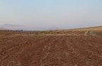 تعیین تکلیف اراضی کانون جانبازان در روستای شفیع آباد