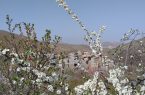 روستای عمقین، نگین طارم