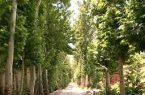 مسابقه «از باغشهر تا باغِ شهر» به ایستگاه پایانی رسید